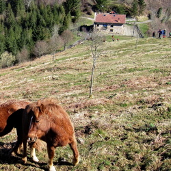 12-03-19 Zizurkil-Usurbil Sidrería